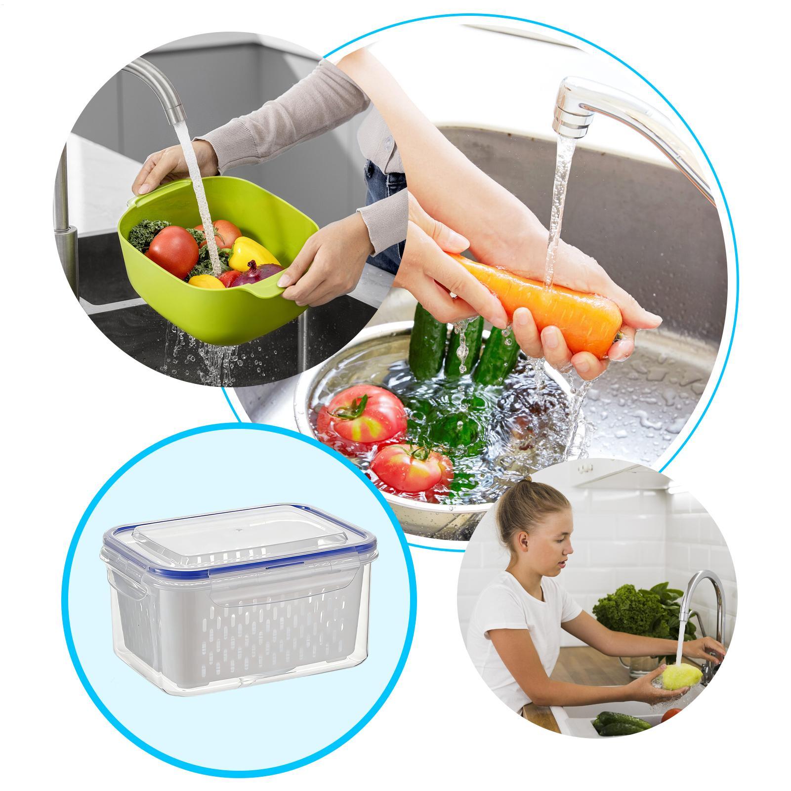 4'ü 1 Arada Gıda Saklama Kabı  - Food Storage Refrigerator incelemesi ve fiyatı