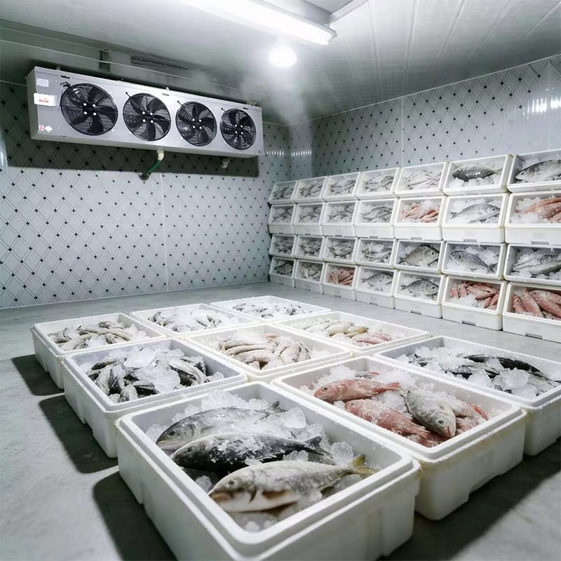 Özelleştirilmiş Gıda Sınıfı So - Food Storage Food Safety incelemesi ve fiyatı